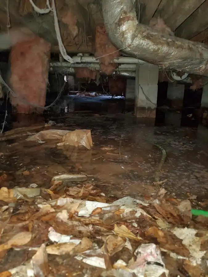 Crawl space flood assessment for Leak Detection & Repair in Black Diamond